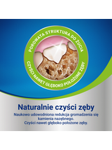Purina Dentalife Large 142g