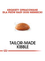 ROYAL CANIN Great Dane Adult 12kg karma sucha dla psów dorosłych rasy dog niemiecki