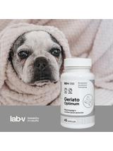 Lab-v Geriato Optimum – Wspomaganie zdrowia seniorów dla psów i kotów 45 kapsułek