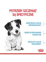 ROYAL CANIN Mini Puppy 2kg karma sucha dla szczeniąt, od 2 do 10 miesiąca życia, ras małych + niespodzianka dla psa GRATIS!