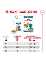 ROYAL CANIN mokra karma dla kotów, Senior Ageing 11+, sos12x85 g