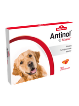 BIOVICO ANTINOL SIZAROL PIES 30 tabletek NA STAWY + Lab-V Olej z Łososia 100% Dla Psa i Kota w Każdym Wieku 100ml Tłoczony Na Zimno GRATIS !!!