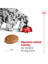 ROYAL CANIN Medium Adult 7+ karma sucha dla psów dojrzałych od 7. do 10. roku życia, ras średnich 15 kg
