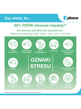 VETOQUINOL Zylkene 75mg Dla Kotów I Psów Niewielkich Rozmiarów Na Uspokojenie 100tab.