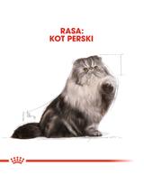 ROYAL CANIN Persian Adult 10kg karma sucha dla kotów dorosłych rasy perskiej + niespodzianka dla kota GRATIS!