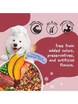 MOOCHIE HOME COOKED Fit and Firm - Beef, Salmon & Rice Berry 255g dla psa