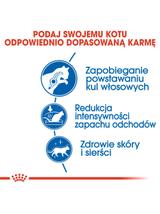 ROYAL CANIN  Indoor Long Hair 10kg karma sucha dla kotów dorosłych, długowłose, przebywających wyłącznie w domu / Opakowanie uszkodzone (9512) !!!