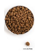 ORIJEN Dog Puppy Large 11,4kg