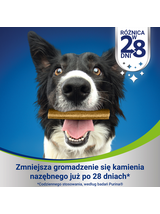 Purina Dentalife Large 142g