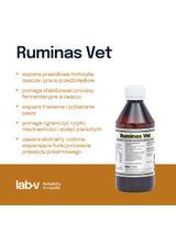 Lab-v Ruminas Vet - Mieszanka Paszowa Uzupełniająca Na Prawidłowe Funkcjonowanie Przewodu Pokarmowego Dla Krów 200ml