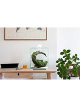 AQUAEL Zestaw Aquael Shrimp Set Smart Day & Night [20l] - biały