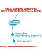 ROYAL CANIN Starter Mousse Mother & Babydog 6x195g karma mokra - mus, dla suk w czasie ciąży, laktacji oraz szczeniąt