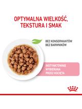 ROYAL CANIN Kitten Instinctive w sosie 12x85g karma mokra w sosie dla kociąt do 12 miesiąca życia +  NIESPODZIANKA DLA KOTA GRATIS!!