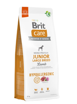 BRIT CARE Dog Hypoallergenic Junior Large Breed Lamb 12kg + niespodzianka dla psa GRATIS!