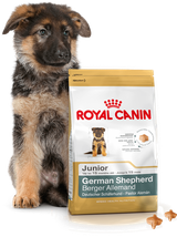 ROYAL CANIN German Shepherd Puppy 12kg karma sucha dla szczeniąt do 15 miesiąca, rasy owczarek niemiecki  + niespodzianka dla psa GRATIS!