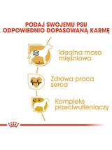 ROYAL CANIN Boxer Puppy 12kg + niespodzianka dla psa GRATIS!