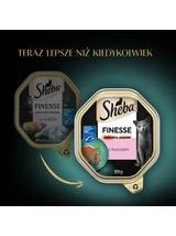 SHEBA Finesse tacka 44x85 g – mokra karma pełnoporcjowa dla dorosłych kotów, z łososiem, w pasztecie