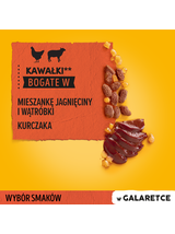 PEDIGREE Adult saszetka 13x(4x100g) - Wybór Smaków w Galaretce, mokra karma pełnoporcjowa w galaretce dla dorosłych psów (kawałki bogate w mieszankę wołowiny i wątróbki oraz kawałki bogate w drób)
