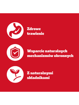 PEDIGREE Adult puszka 1200g - mokra karma pełnoporcjowa dla dorosłych psów, z wołowiną w galaretce