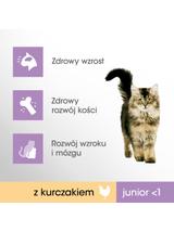 PERFECT FIT (Junior) 6x750g Bogaty w kurczaka - sucha karma dla kota