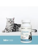 Lab-v Synbiotic Vet – Wsparcie zdrowia układu pokarmowego i mikroflory jelitowej dla psów i kotów 45 kapsułek