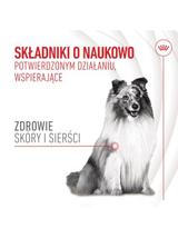 Royal Canin Supplements Skin and Coat Adult Dog  240g