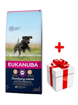 EUKANUBA Junior Large 15kg + niespodzianka dla psa GRATIS!