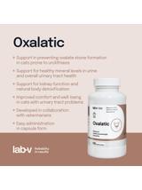 Lab-v Oxalatic – Wsparcie dla kotów przy tworzeniu się kamieni oksalatowych 90 kapsułek