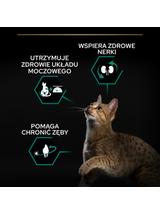 PRO PLAN Sterilised Renal Karma dla kotów bogata w indyka 400 g