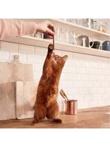 GIMCAT Sticks z jagnięciną i  drobiem  4szt