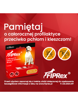 Fiprex L, 300 mg/4 ml, roztwór do nakrapiania dla psów (2szt)