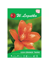 Lilia Orange twins pomarańczowa 1szt.