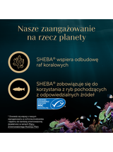 SHEBA Filets z kurczakiem, rybami oceanicznymi i krewetkami w sosie, tacka 60g