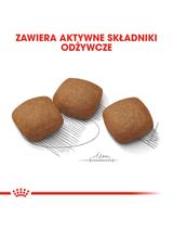 ROYAL CANIN CCN Maxi Joint Care 10kg karma sucha dla psów dorosłych, ras dużych, wspomagająca pracę stawów \Opakowanie uszkodzone (371, 980,8337)