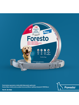 ELANCO Foresto Obroża dla psów powyżej 8kg+ TRIXIE Szczypce do usuwania kleszczy 9cm