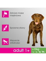 PERFECT FIT (Adult 1+) 4x825g Bogaty w kurczaka - sucha karma dla psa średniej i dużej rasy