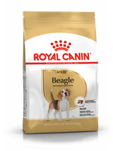 ROYAL CANIN Beagle Adult 12kg karma sucha dla psów dorosłych rasy beagle + niespodzianka dla psa GRATIS!