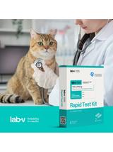 Lab-v Antygen FCV & FHV – Szybki test diagnostyczny dla kotów 2 szt.