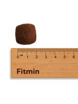 FITMIN For Life Adult Large Breeds 12kg