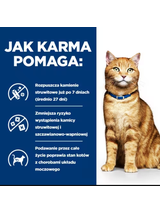 HILL'S PD Prescription Diet Feline c/d Salmon 24x85g saszetka