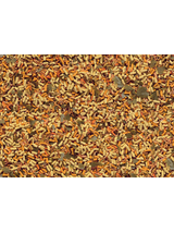 TETRA Pond Goldfish Mix 1L