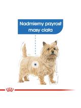 ROYAL CANIN CCN Mini Light Weight Care 8kg + niespodzianka dla psa GRATIS!