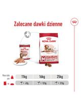 ROYAL CANIN® Medium Ageing 7+ 410g karma mokra, pasztet, dla psów starszych od 7. roku życia, ras średnich