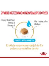 ROYAL CANIN Yorkshire Terrier Adult 8+ 1,5kg-karma sucha dla dojrzałych psów rasy yorkshire terrier, powyżej 8 roku życia