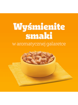 PEDIGREE Adult puszka 1200g - mokra karma pełnoporcjowa dla dorosłych psów, z kurczakiem w galaretce