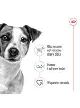 ROYAL CANIN Mini Adult 800g karma sucha dla psów dorosłych, ras małych + niespodzianka dla psa GRATIS