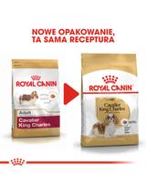 ROYAL CANIN Cavalier King Charles Spaniel Adult 1,5kg karma sucha dla psów dorosłych rasy cavalier king charles spaniel