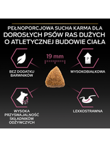 PRO PLAN Sensitive Skin Large Athletic Adult Karma dla psów bogata w łososia 14kg
