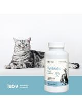 Lab-v Synbiotic Vet – Wsparcie zdrowia układu pokarmowego i mikroflory jelitowej dla psów i kotów 90 kapsułek