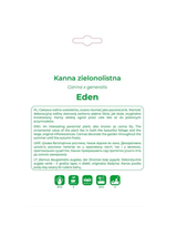 Kanna Eden różowa 1szt.
